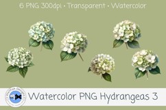 Watercolor Hydrangea PNG Clipart Set 3 Product Image 1