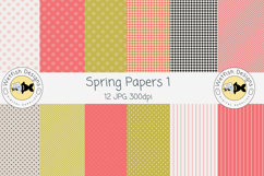 Spring Seamless Pattern Papers 1 Product Image 1