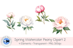 Watercolor PNG 300dpi Peony Flowers 2 Product Image 1