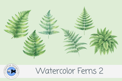 Watercolor Ferns Clipart PNG Set 2| Botanical Greenery Leave Product Image 1