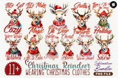 Christmas Reindeer Sublimation Designs Bundle