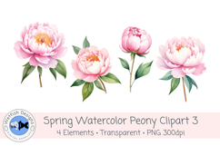 Watercolor PNG 300dpi Peony Flowers 3 Product Image 1