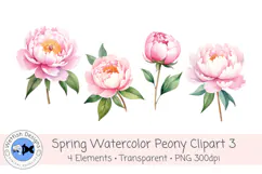 Watercolor PNG 300dpi Peony Flowers 3 Product Image 1