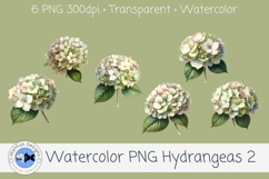 Watercolor Hydrangea PNG Clipart Set 2 Product Image 1