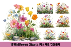 14 Watercolor Wildflower Clipart Bundle, Botanical Flowers Product Image 1