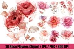 30 Watercolor Rose Clipart, Pink Floral PNG, Wedding Flowers Product Image 1