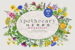 Apothecary Herbs Illustration Set Product Image 1