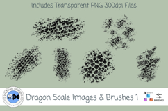 Dragon Scale Brushes and Images 1 Product Image 1