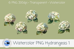 Watercolor Hydrangea PNG Clipart Set 1 Product Image 1