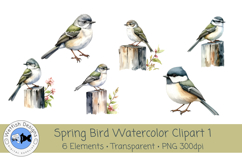 Spring Birds PNG Watercolor Clipart 1 Product Image 1