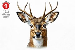 Deer Clipart | Watercolor Clipart | Sublimation PNG Product Image 1