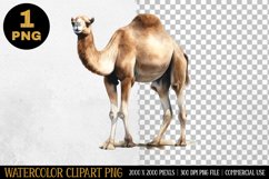 Camel Watercolor Clipart | Sublimation Design | PNG Product Image 1