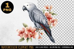 Bird Watercolor Clipart | Sublimation Design | PNG Product Image 1