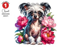 Chinese Crested with Peony Clipart Sublimation PNG Design Product Image 1