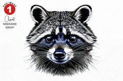 Raccoon Clipart | Watercolor Clipart | Sublimation PNG Product Image 1