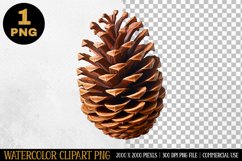 Pinecone Watercolor Clipart | Sublimation Designs | PNG Product Image 1