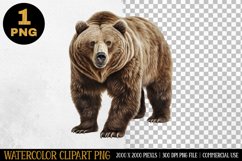 Bear Watercolor Clipart | Sublimation Design | PNG Product Image 1