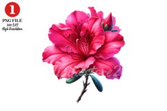 Hot Pink Azalea Clipart, Flowers Clipart Sublimation Product Image 1
