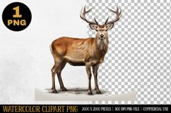 Deer Watercolor Clipart | Sublimation Design | PNG Product Image 1