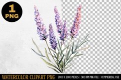 Lavender Flower Watercolor Clipart | Sublimation Design PNG Product Image 1