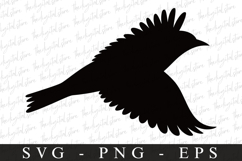 Bird Svg, Flying Bird, Files for Cricut Product Image 1