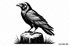 Crow Svg Design | Svg Cut Files | Digital Download Product Image 1