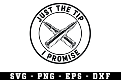 American Flag USA Svg, 2nd Amendment Svg Product Image 1