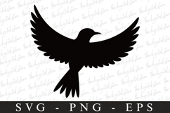 Bird Svg, Flying Bird, Files for Cricut Product Image 1