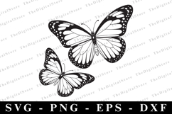 Butterfllies Svg | Svg Cut Files | Cricut Product Image 1