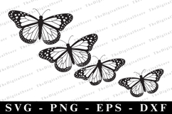 Butterfly Svg | Svg cut file | Cricut Product Image 1