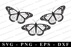 Butterfly Svg | Svg Cut Files | Cricut Product Image 1