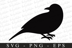 Bird Svg, Flying Bird, Files for Cricut Product Image 1