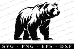 Bear SVG | SVG Cut files | Cricut Product Image 1