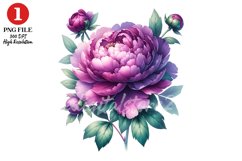 Peony Floral Clipart Sublimation Design Product Image 1