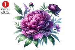 Peony Floral Clipart Sublimation Design Product Image 1