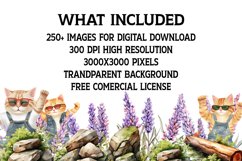 Clipart Bundle | Sublimation Designs | PNG Files | Clipart Product Image 3
