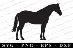 Horse Svg | Svg Cut Files | Cricut Product Image 1