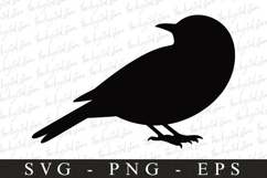Bird Svg, Flying Bird, Files for Cricut Product Image 1