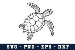 Turtle Svg Design | Svg Cut Files | Digital Download Product Image 1