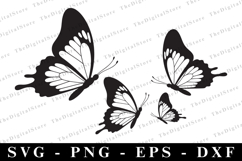 Butterfly Svg | Svg cut file | Cricut Product Image 1