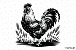 Rooster Svg Design | Svg Cut Files | Digital Download Product Image 1