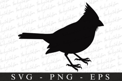 Bird Svg, Flying Bird, Files for Cricut Product Image 1