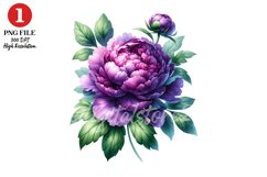 Peony Floral Clipart Sublimation Design Product Image 1