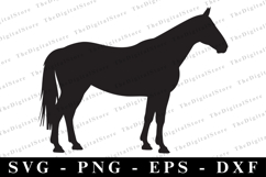Horse Svg | Svg Cut Files | Cricut Product Image 1