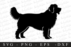 Dog SVG | SVG Cut files | Cricut Product Image 1