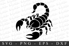 Scorpion SVG | SVG Cut files | Cricut Product Image 1