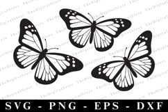 Butterflies Svg | Svg Cut Files | Cricut Product Image 1