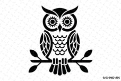 Owl Svg Design | Svg Cut Files | Digital Download Product Image 1