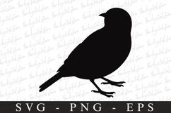Bird Svg, Flying Bird, Files for Cricut Product Image 1