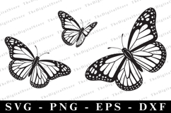 Butterfllies Svg | Svg Cut Files | Cricut Product Image 1